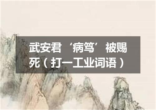 武安君‘病笃’被赐死（打一工业词语）