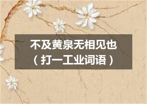 不及黄泉无相见也（打一工业词语）