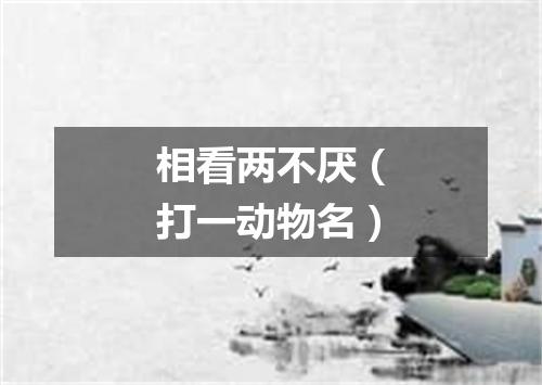 相看两不厌（打一动物名）