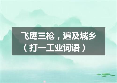 飞鹰三枪，遍及城乡（打一工业词语）