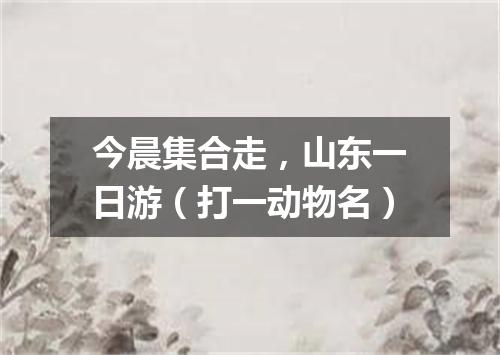 今晨集合走，山东一日游（打一动物名）