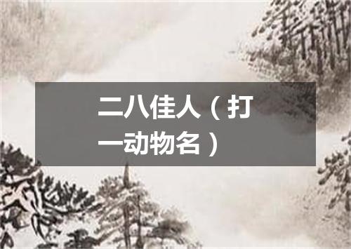 二八佳人（打一动物名）