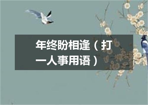 年终盼相逢（打一人事用语）