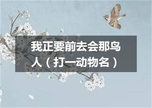 我正要前去会那鸟人（打一动物名）