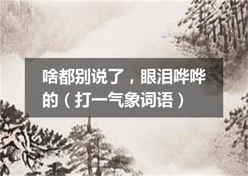 啥都别说了，眼泪哗哗的（打一气象词语）