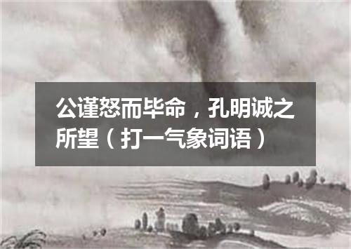 公谨怒而毕命，孔明诚之所望（打一气象词语）