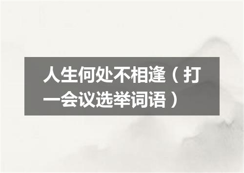 人生何处不相逢（打一会议选举词语）