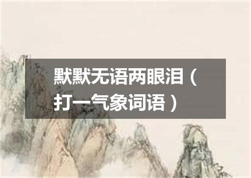 默默无语两眼泪（打一气象词语）