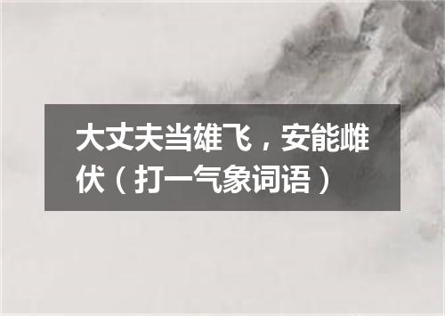 大丈夫当雄飞，安能雌伏（打一气象词语）