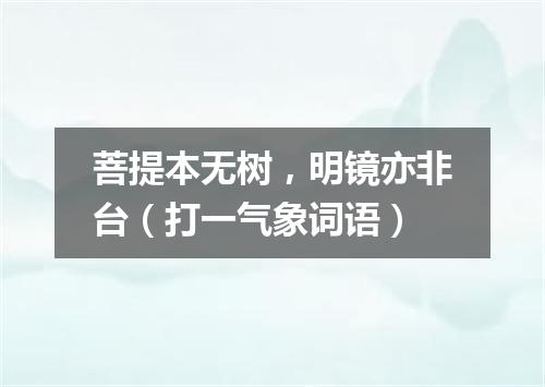 菩提本无树，明镜亦非台（打一气象词语）