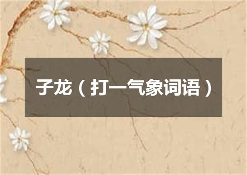子龙（打一气象词语）