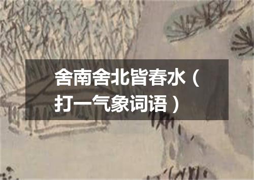 舍南舍北皆春水（打一气象词语）