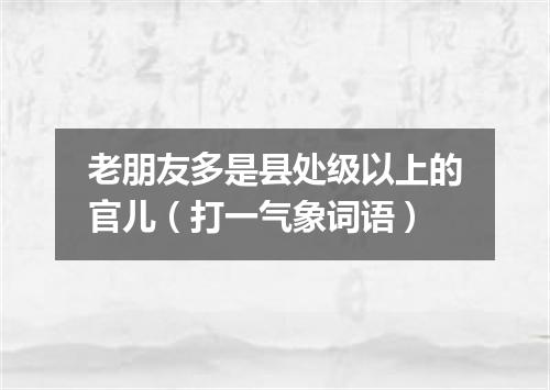 老朋友多是县处级以上的官儿（打一气象词语）