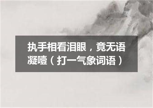 执手相看泪眼，竟无语凝噎（打一气象词语）