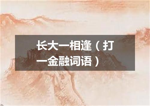 长大一相逢（打一金融词语）