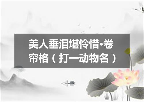 美人垂泪堪怜惜·卷帘格（打一动物名）