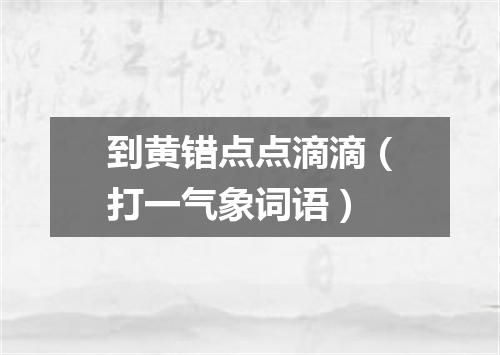 到黄错点点滴滴（打一气象词语）