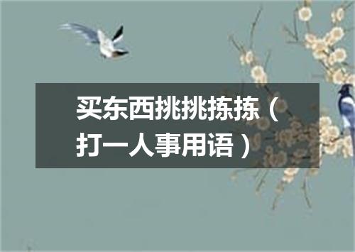 买东西挑挑拣拣（打一人事用语）