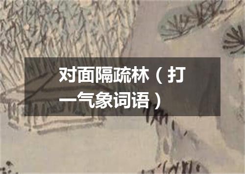 对面隔疏林（打一气象词语）