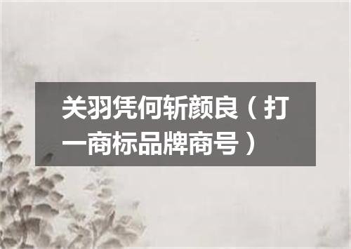 关羽凭何斩颜良（打一商标品牌商号）