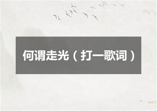 何谓走光（打一歌词）