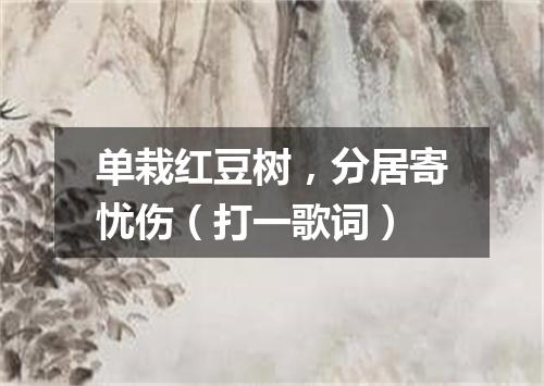 单栽红豆树，分居寄忧伤（打一歌词）