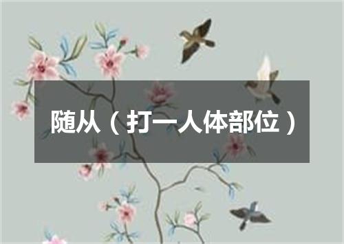 随从（打一人体部位）