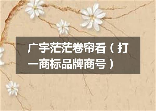 广宇茫茫卷帘看（打一商标品牌商号）