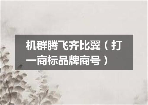 机群腾飞齐比翼（打一商标品牌商号）