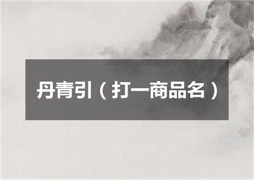 丹青引（打一商品名）