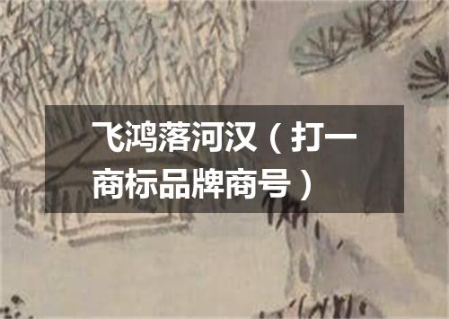 飞鸿落河汉（打一商标品牌商号）