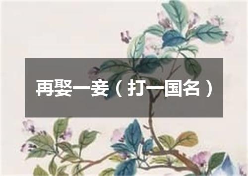 再娶一妾（打一国名）