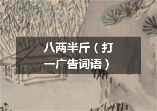 八两半斤（打一广告词语）
