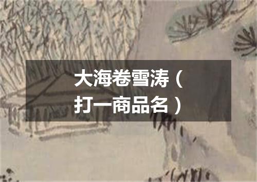 大海卷雪涛（打一商品名）