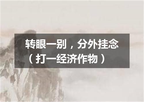 转眼一别，分外挂念（打一经济作物）