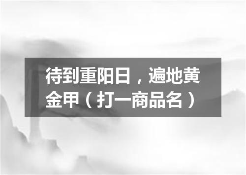 待到重阳日，遍地黄金甲（打一商品名）