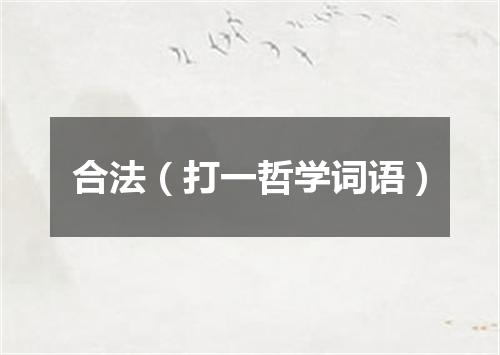 合法（打一哲学词语）