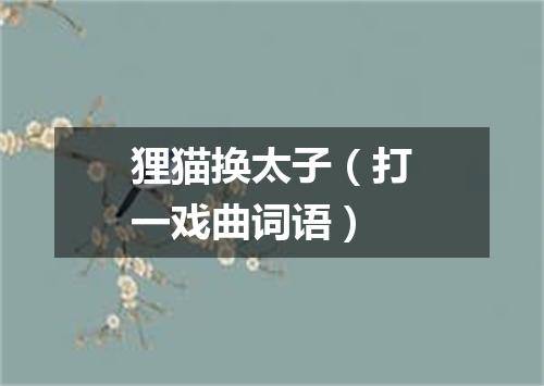 狸猫换太子（打一戏曲词语）