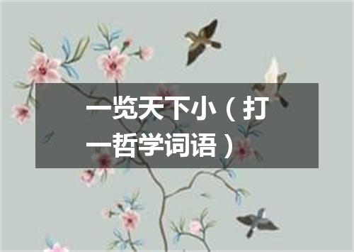 一览天下小（打一哲学词语）