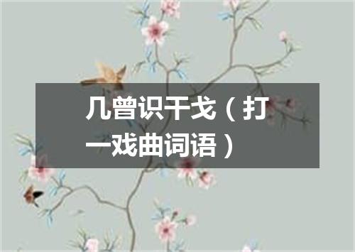 几曾识干戈（打一戏曲词语）