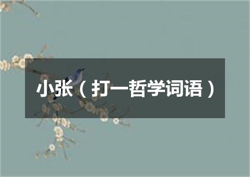 小张（打一哲学词语）