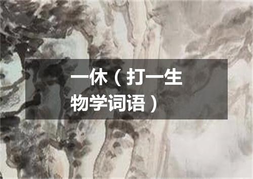 一休（打一生物学词语）
