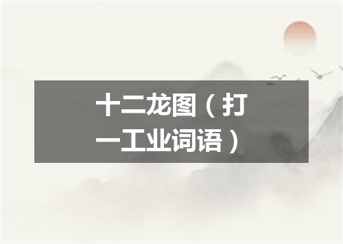 十二龙图（打一工业词语）