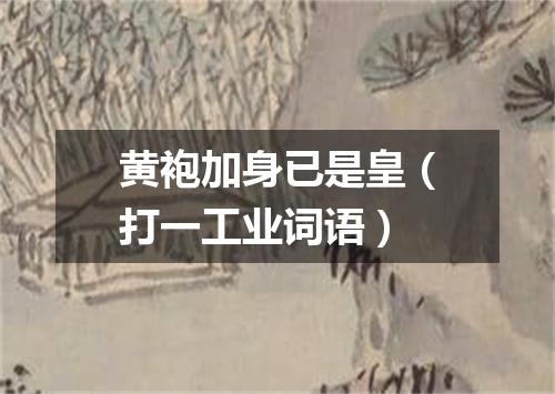 黄袍加身已是皇（打一工业词语）
