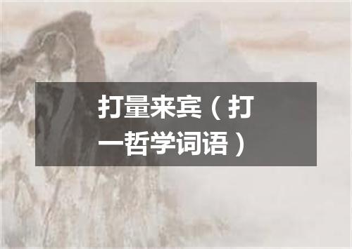 打量来宾（打一哲学词语）