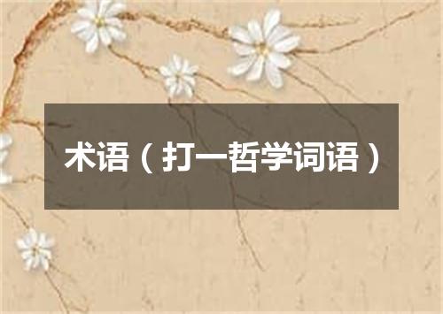 术语（打一哲学词语）