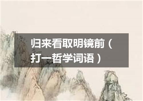 归来看取明镜前（打一哲学词语）