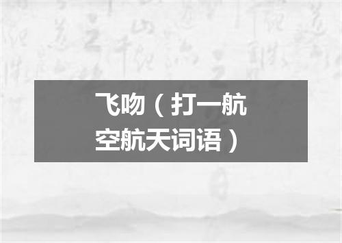 飞吻（打一航空航天词语）