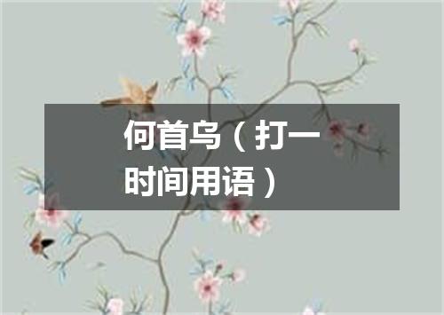 何首乌（打一时间用语）