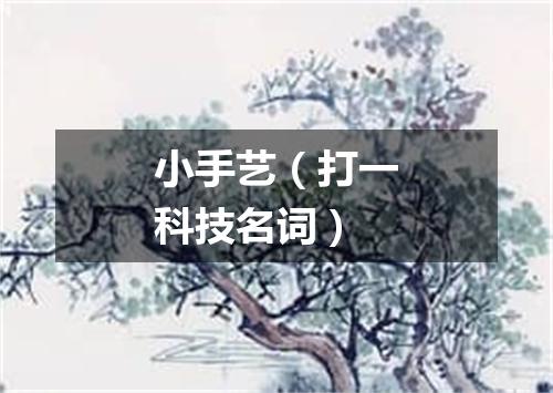 小手艺（打一科技名词）